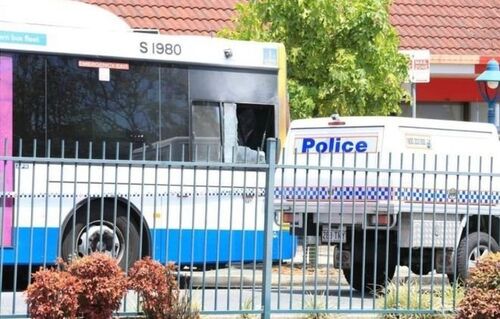 最新の企業ニュース ブリスベーンのバス運転手は乗客によって火の配置の後で死ぬ