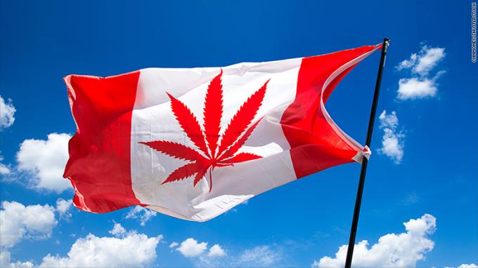 カナダのインド大麻の買物客は市場に薬剤を入れる