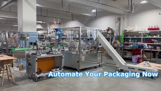 ZH100 縦型ロータリー箱詰め機