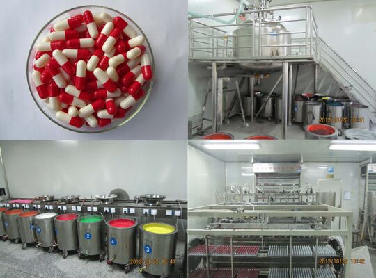 よい価格 速く菜食主義の空のゲルを要約するHPMCのサイズ00/0/1を分解しなさい オンライン